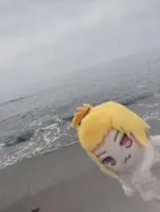 みかんの画像