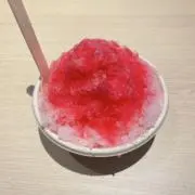 たけのこの画像