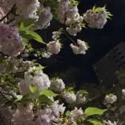 むの画像