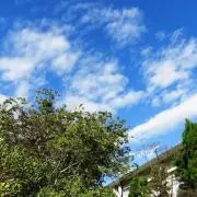 結音☆