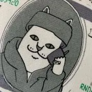 ぽん