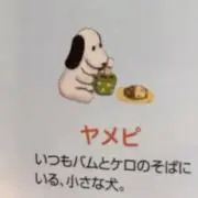 青木の画像