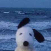 Leeの画像