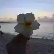 ☺︎の画像