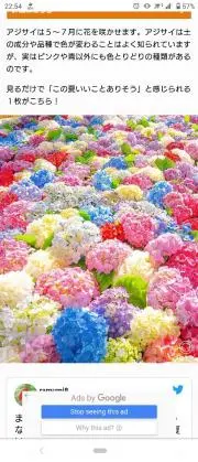 美月☆プロフ必読願います♪の画像
