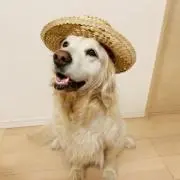 うんうんの画像