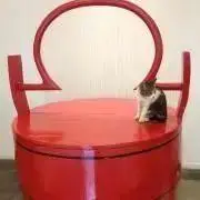 Toroの画像