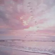 hitomiの画像