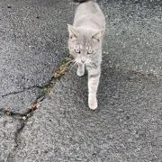 さんじの画像