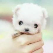 Love♡✲プロフ読んでね✲