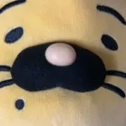サイトォの画像