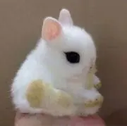 ∞ pentu ∞の画像