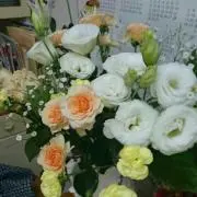 sakuraの画像