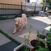 きらら⚠プロフ必読の画像