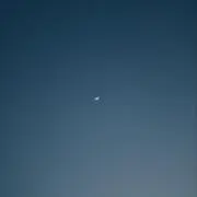 KIDの画像