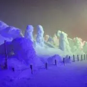 fuel_TIの画像