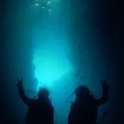 りんこ