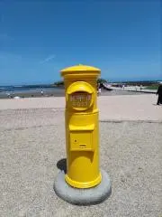 じゅんちゃんの画像