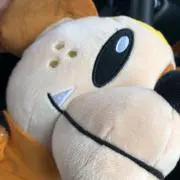 パウエルの画像