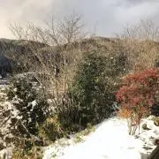 カニの画像