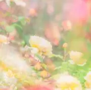 HAJIME(対応遅れます)の画像