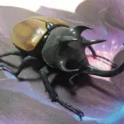 りんす　プロフ見て下さいの画像