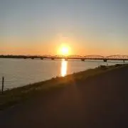 まいたんぱく質の画像
