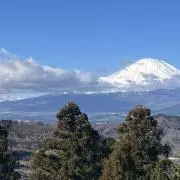 ゆうるの画像
