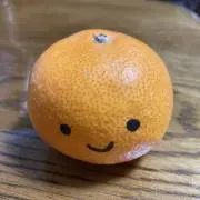 みかんの画像