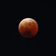 まひるんの画像