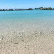 【高評価】みに【匿名配送】の画像
