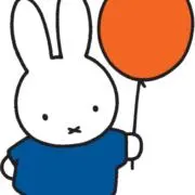 Rの画像
