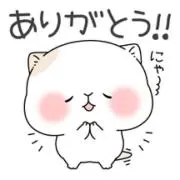 メグの画像