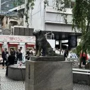 サトシの画像