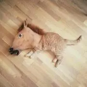 にゃんごろげ
