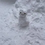 しろくろの画像