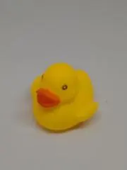 ピヨ美の画像
