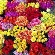 Yuikei★の画像