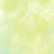 あんずの画像
