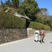 のんちゃんの画像