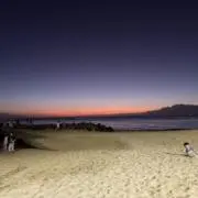 paruの画像