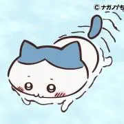 Mamちゃんの画像