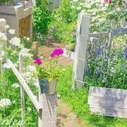 あこの画像