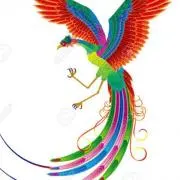 Phoenix 即日発送☆即購入OK!!の画像