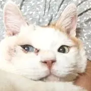 emiemiの画像