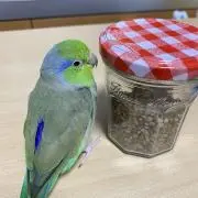 ヨシの画像