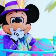ぽぽの画像