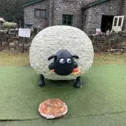 ちさちさの画像