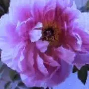 るいとの画像