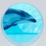 モンキーマイアの画像
